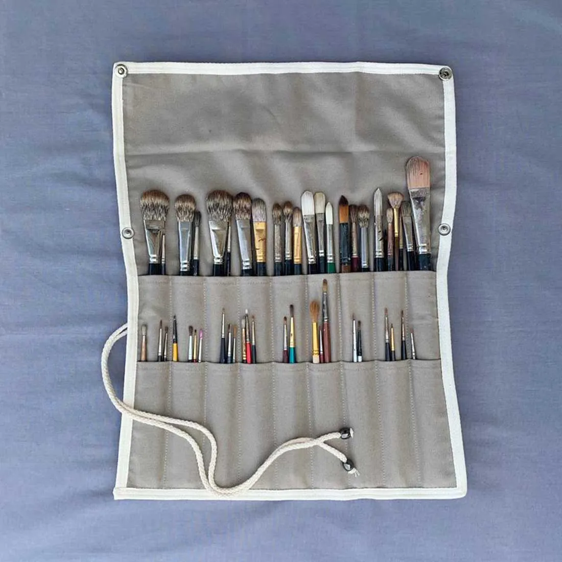 Apollo Brush Carrier