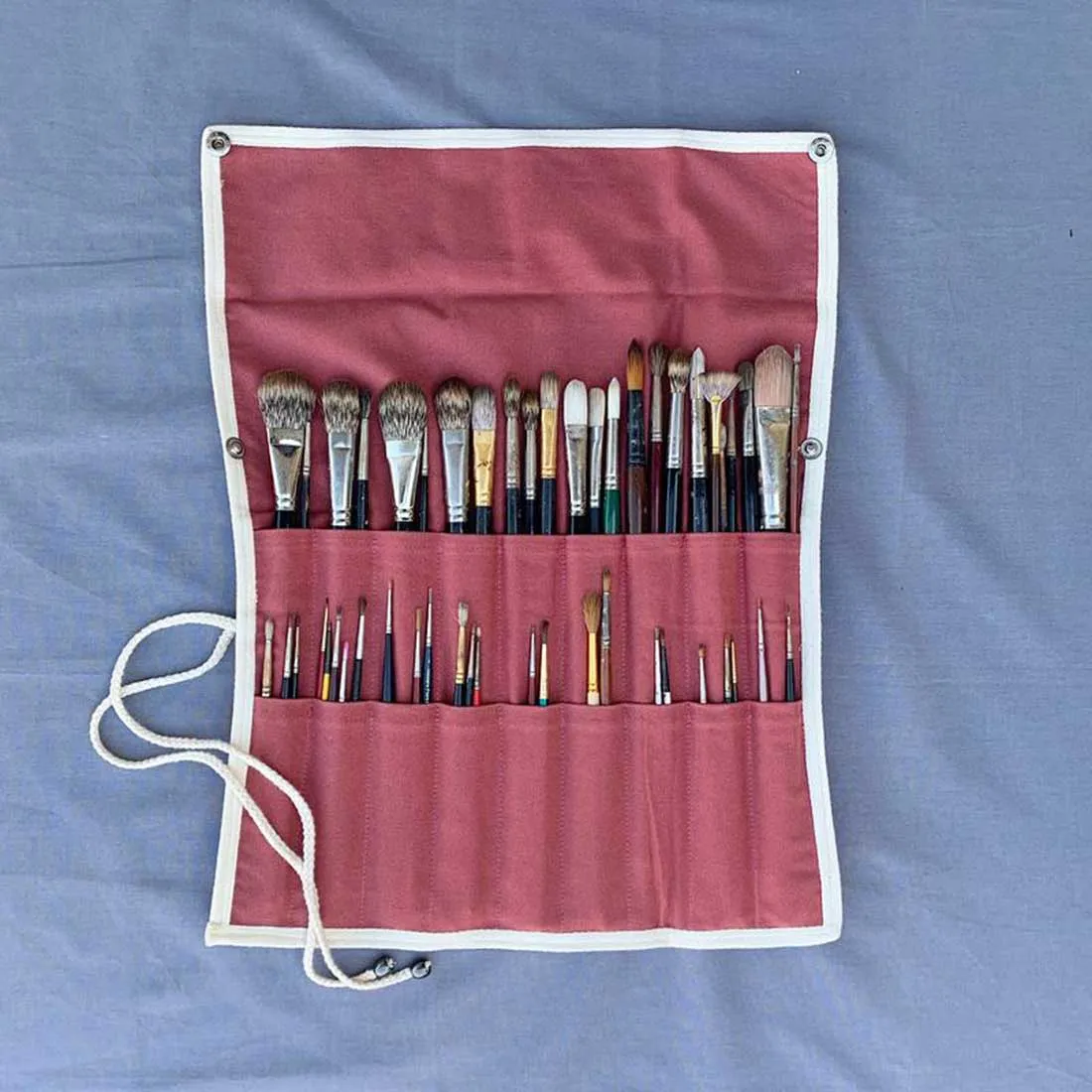 Apollo Brush Carrier