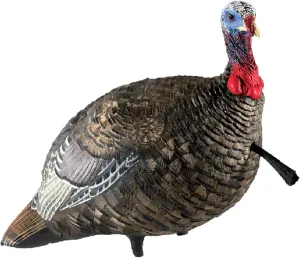 AVIAN-X LCD Jake Quarter Strut Durable Realistic Lifelike Collapsible Standing Folding Hunting Turkey Decoy with Carry Bag & Stake, AVX8003