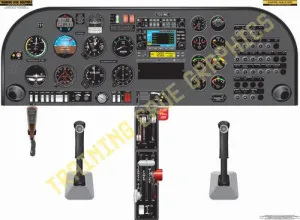 Aviation Training Graphics Diamond DA20 Eclipse Handheld Cockpit Poster