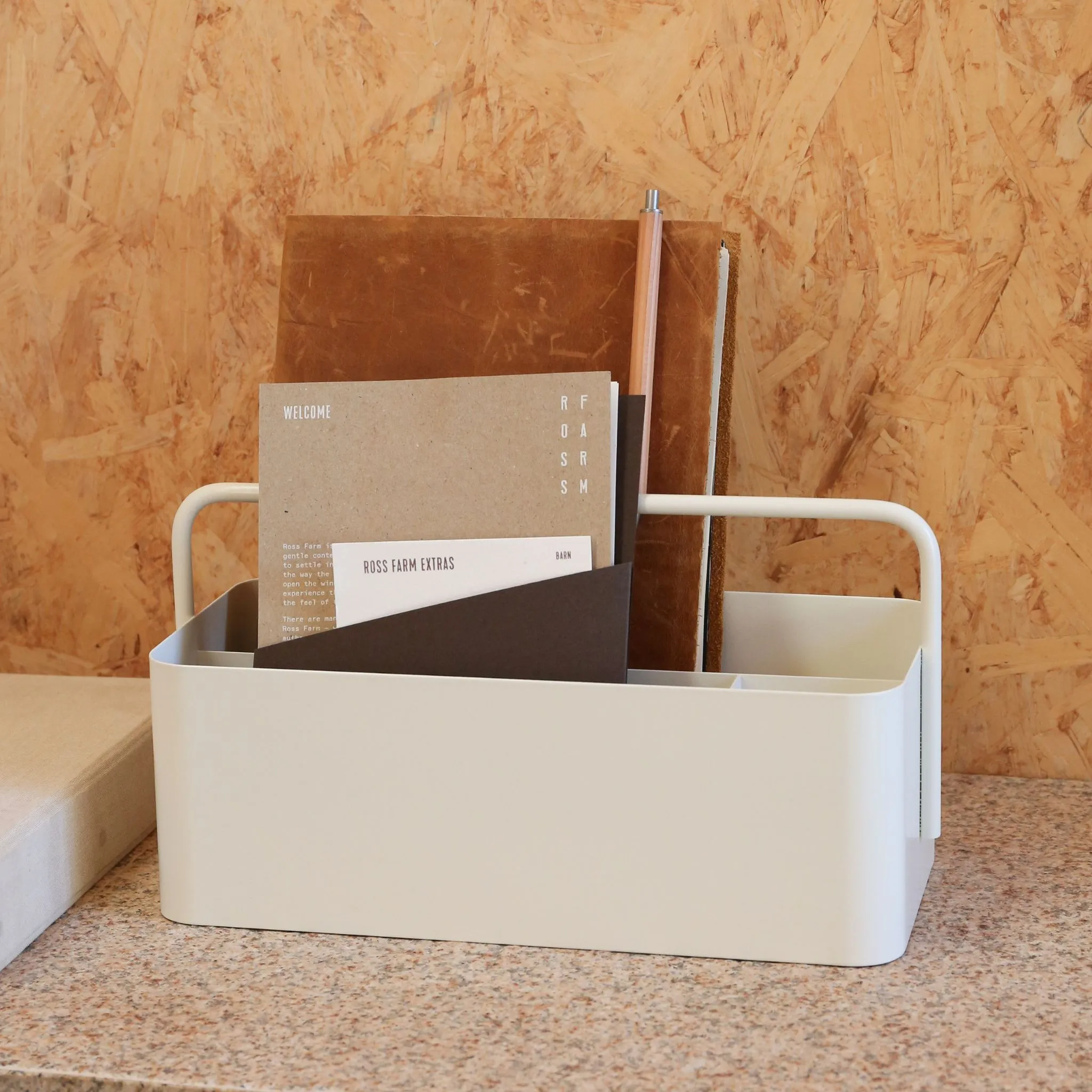 DESIGNSTUFF The Carry-All Caddy and Storage Box, White