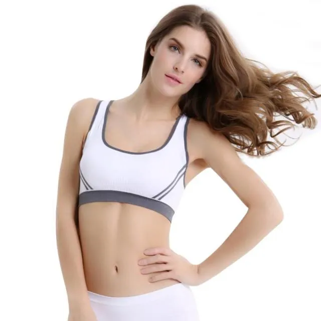 Multi Color Ladies Sports Bra