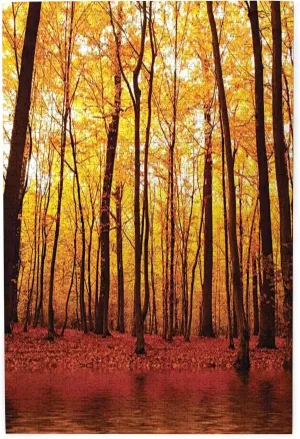 Nature Photo,Puzzle Board,Portable Wooden Jigsaw Puzzle for Adults,Trees in The Fall with Orange Leaves,Birthday Gift for Family and Friends,Brown Orange Plastic Box Storage 1000PCS