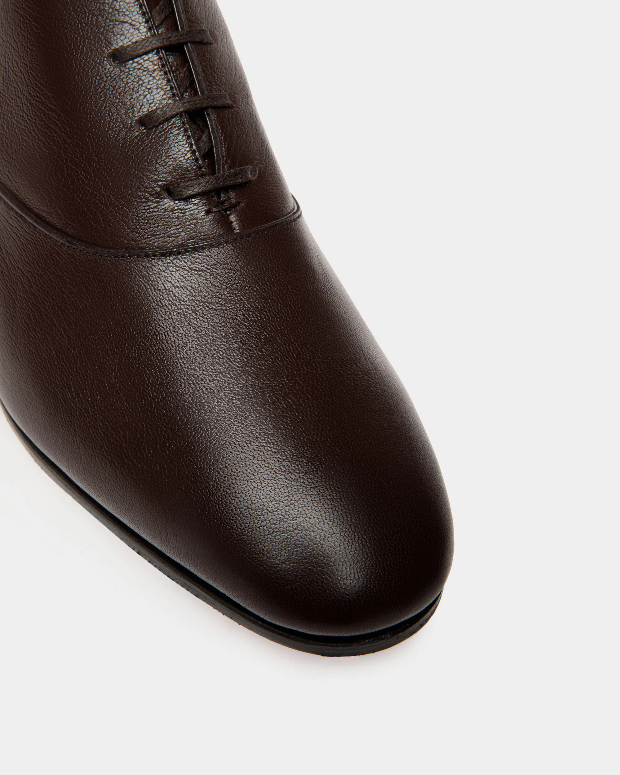 Plume Oxford in Brown Grained Leather