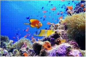 Puzzles for Adults 1000 Pieces Coral Diving Tropical Fish Wooden Jigsaw Puzzles Challenging Fun Educational Family Games Kid Toys Art Work Gift Home Decor