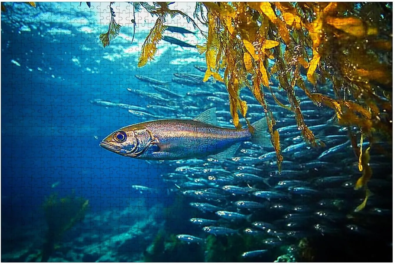 Puzzles for Adults 1000 Pieces Fish Underwater Wooden Jigsaw Puzzles Challenging Fun Educational Family Games Kid Toys Art Work Gift Home Decor