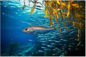 Puzzles for Adults 1000 Pieces Fish Underwater Wooden Jigsaw Puzzles Challenging Fun Educational Family Games Kid Toys Art Work Gift Home Decor