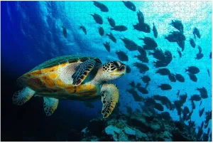 Puzzles for Adults 1000 Pieces Loggerhead Sea Turtle Swimming Between Fish Wooden Jigsaw Puzzles Challenging Fun Educational Family Games Kid Toys Art Work Gift Home Decor