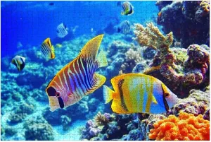 Puzzles for Adults 1000 Pieces Natural Colorful Fish Underwater Multi Color Fish Wooden Jigsaw Puzzles Challenging Fun Educational Family Games Kid Toys Art Work Gift Home Decor