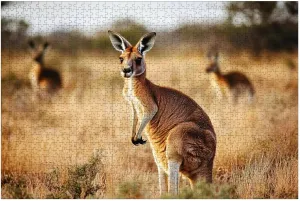 Puzzles for Adults 1000 Pieces Red Kangaroo grasslands Australian Wooden Jigsaw Puzzles Challenging Fun Educational Family Games Kid Toys Art Work Gift Home Decor
