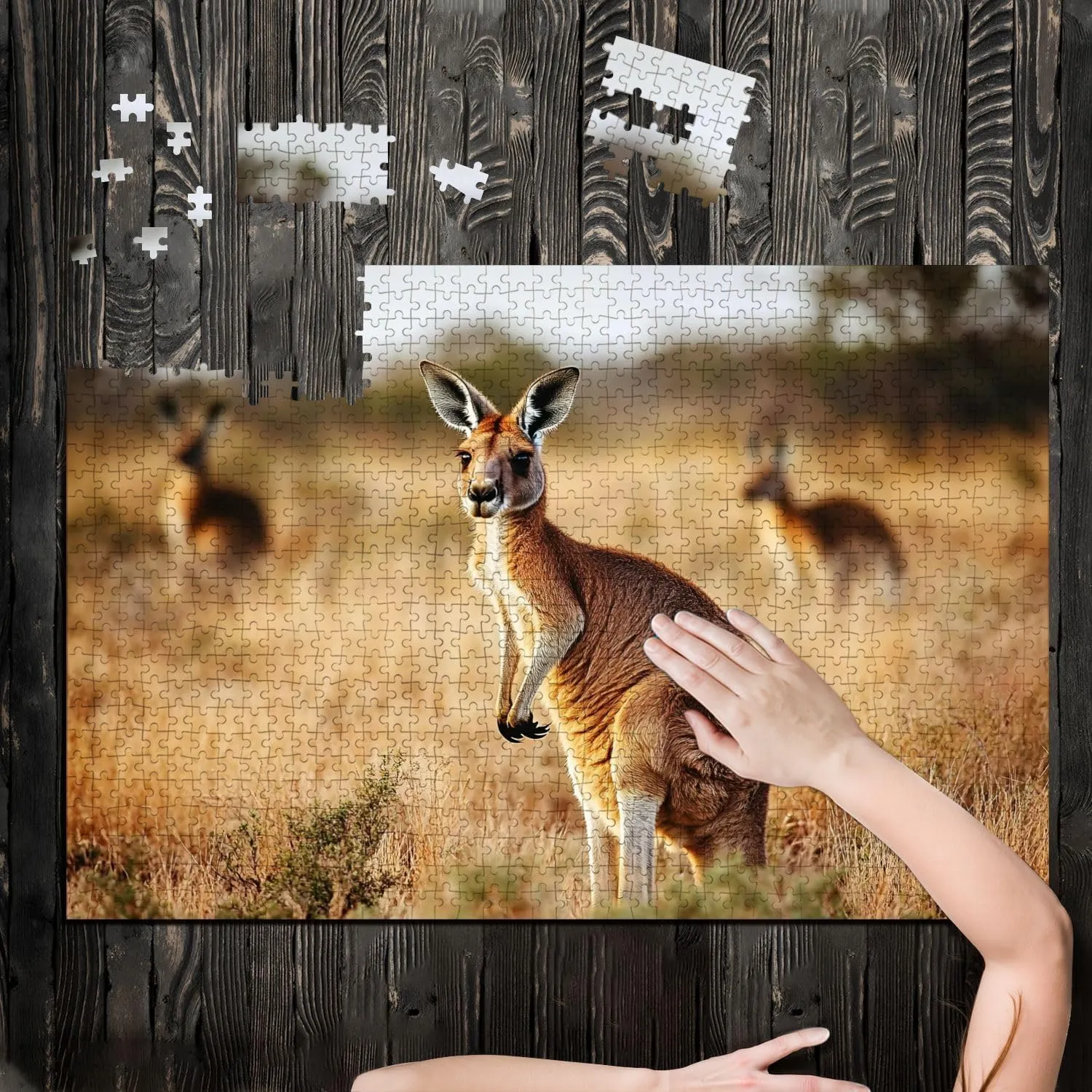 Puzzles for Adults 1000 Pieces Red Kangaroo grasslands Australian Wooden Jigsaw Puzzles Challenging Fun Educational Family Games Kid Toys Art Work Gift Home Decor