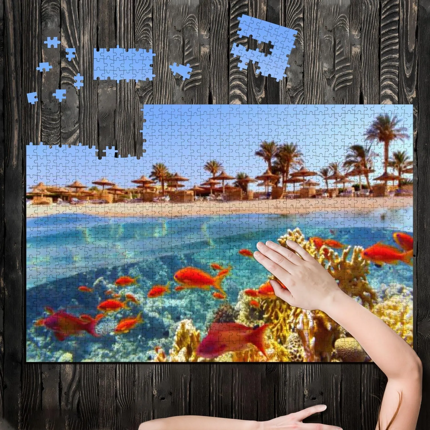 Puzzles for Adults 1000 Pieces Tropical Coral Reef Fish Beach Palms Sun umbrelas Red Sea Egypt Wooden Jigsaw Puzzles Challenging Fun Educational Family Games Kid Toys Art Work Gift Home Decor