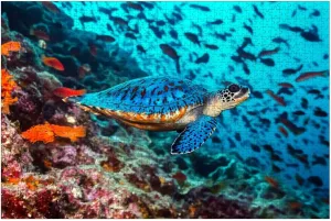 Puzzles for Adults 1000 Pieces Turtle Tons Fish Wooden Jigsaw Puzzles Challenging Fun Educational Family Games Kid Toys Art Work Gift Home Decor