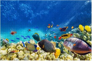 Puzzles for Adults 1000 Pieces Underwater World Corals Tropical Fish Wooden Jigsaw Puzzles Challenging Fun Educational Family Games Kid Toys Art Work Gift Home Decor