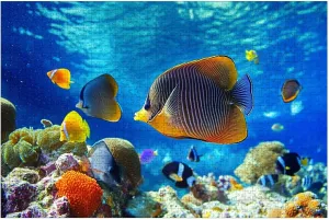 Puzzles for Adults 1000 Pieces Underwater World Corals Tropical Fish Wooden Jigsaw Puzzles Challenging Fun Educational Family Games Kid Toys Art Work Gift Home Decor