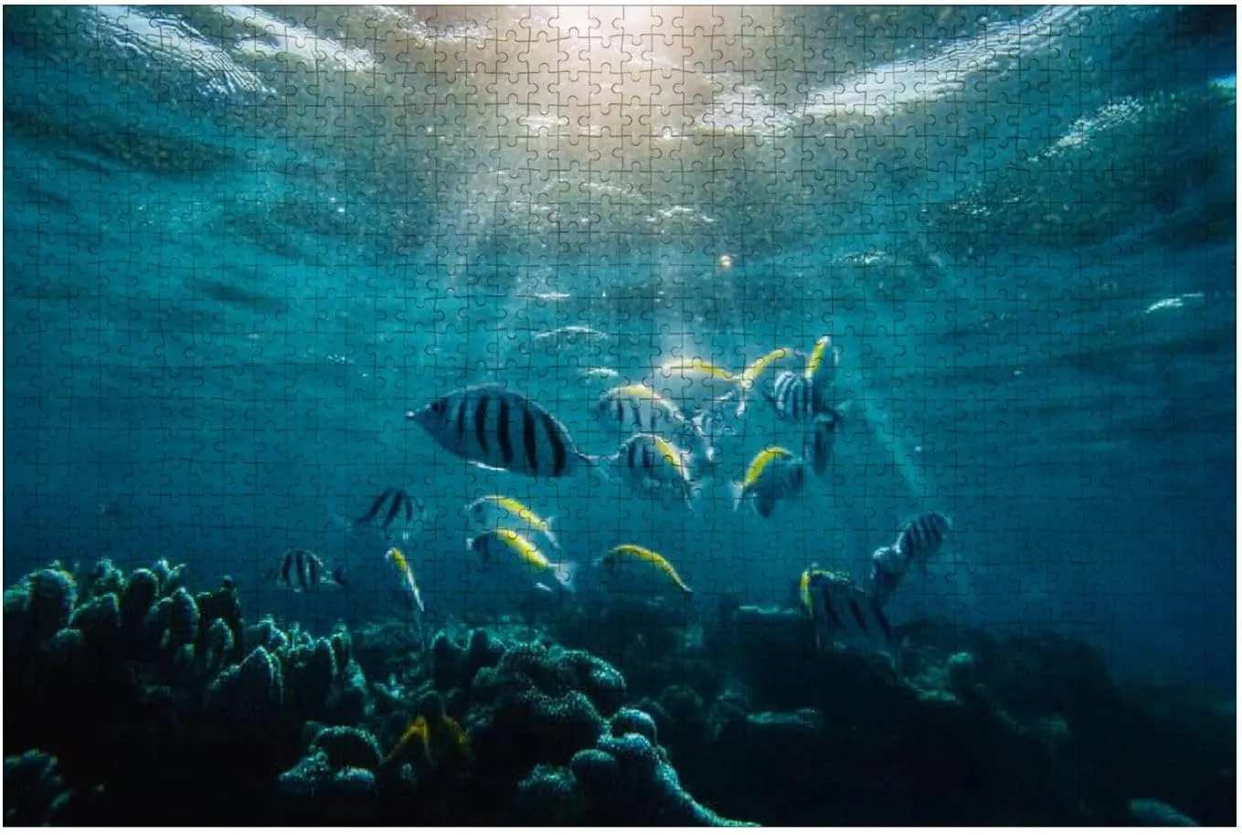 Puzzles for Adults 1000 Pieces Underwater World School Fish Swim Above Coral Sun Light Wooden Jigsaw Puzzles Challenging Fun Educational Family Games Kid Toys Art Work Gift Home Decor