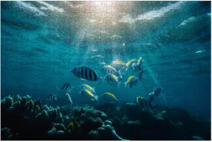 Puzzles for Adults 1000 Pieces Underwater World School Fish Swim Above Coral Sun Light Wooden Jigsaw Puzzles Challenging Fun Educational Family Games Kid Toys Art Work Gift Home Decor
