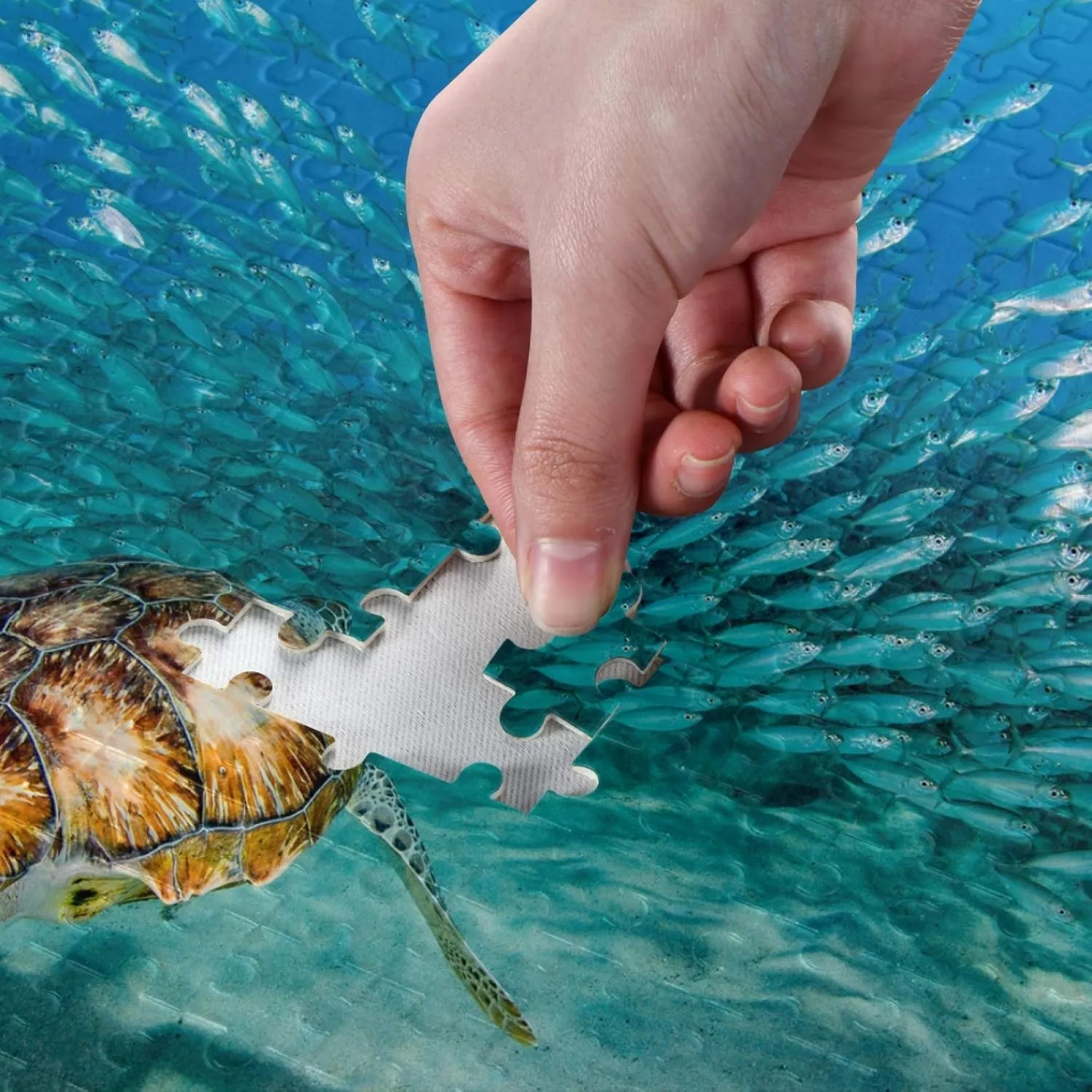 Sea Turtle Underwater Jigsaw Puzzle 1000 Pieces Ocean Fish Shoal DIY Wall Art Intellectual Decompressing Fun Game for Adults Teens