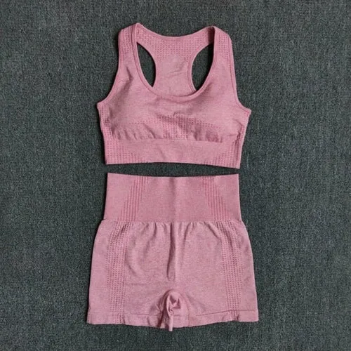 Women Seamless 2PCS Yoga Set Sports Bra High Waist Fitness Gym Shorts