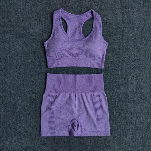 Women Seamless 2PCS Yoga Set Sports Bra High Waist Fitness Gym Shorts