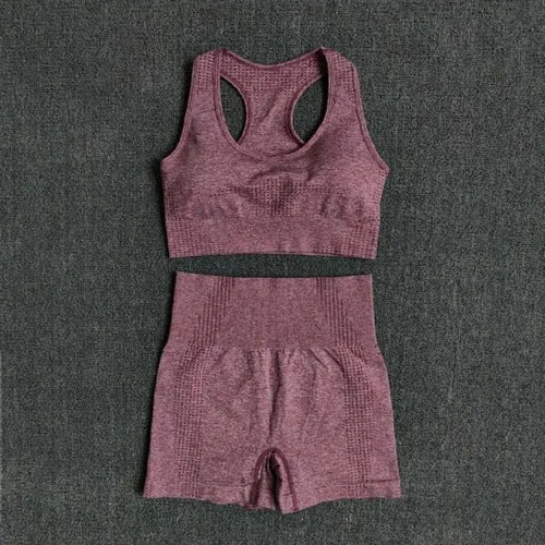 Women Seamless 2PCS Yoga Set Sports Bra High Waist Fitness Gym Shorts